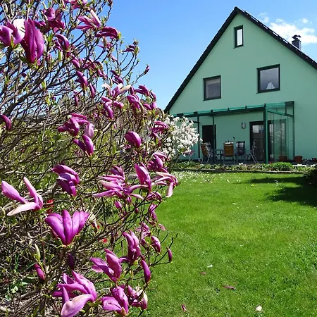 Lägenhet Charmantes In Mit Garten Binz